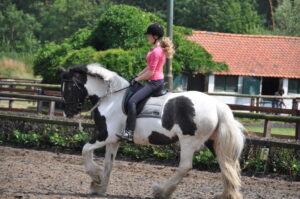 murphy-stoeterij-ruijs-4