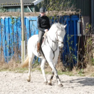 Ontwerp zonder titel (10)