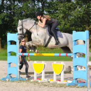 Ontwerp zonder titel (11)